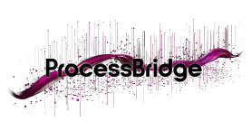 Process_Bridge_Logo-black
